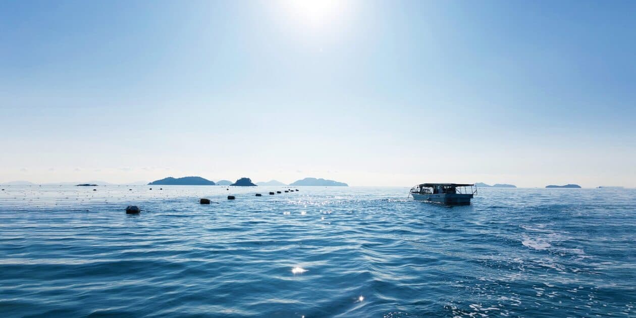 せのお水産ロゴ