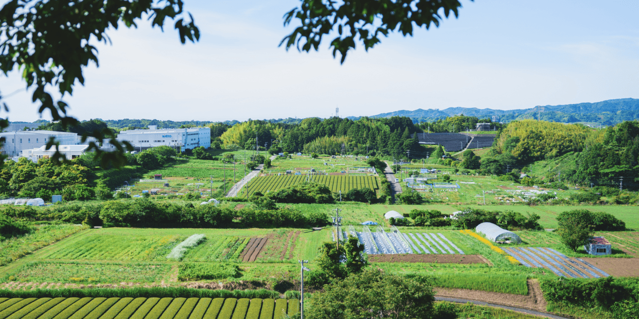 オーガニック農園 しあわせ野菜畑ロゴ