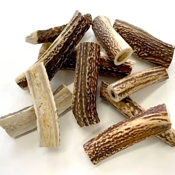 ストレス解消ペットフード［本州鹿の角］Honshu Deer Antlers 