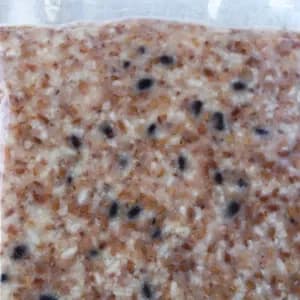 豆腐店が作る飲む点滴＜自家製酵素玄米甘酒＞国産米使用【冷凍】