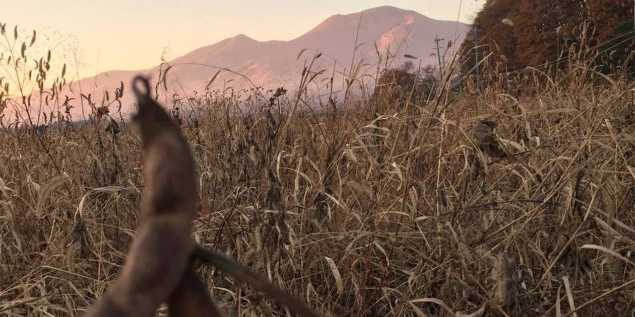 白ほたる豆腐店ロゴ