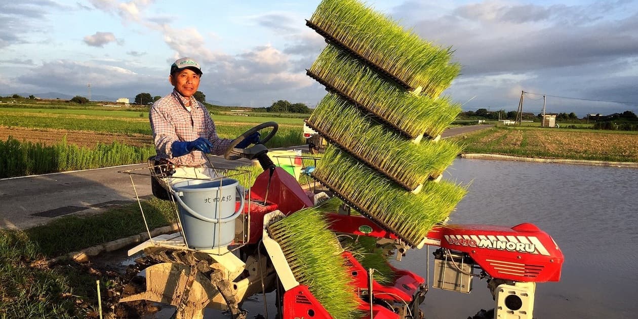 自然栽培園北村ロゴ