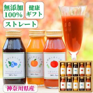 湘南プレミアムジュースセット