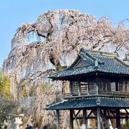 それぞれの320年