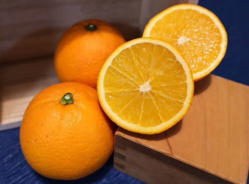 季節のフルーツ 背景