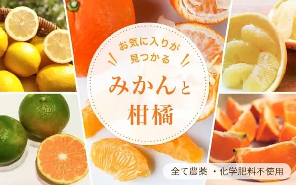 みかんと柑橘