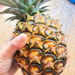 パイナップル🍍発収穫しました！