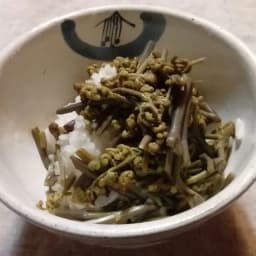 旭米でわらびご飯