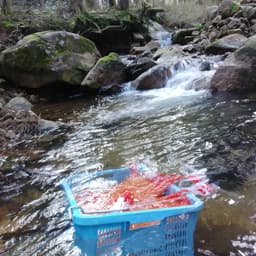 美味しい米になる種播きの準備