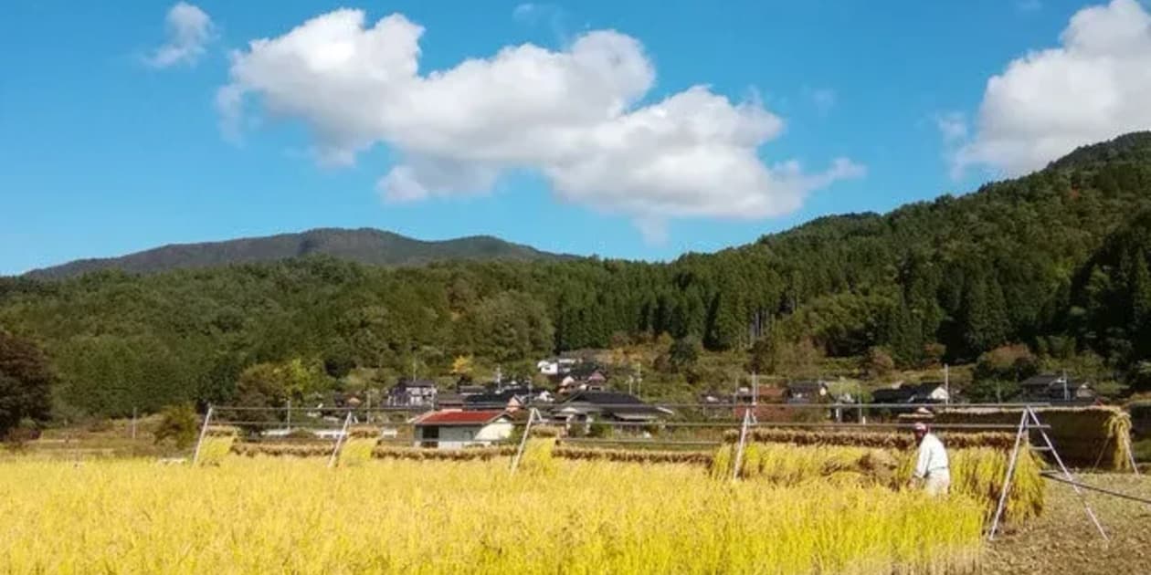 豊岡ナチュラルファームロゴ