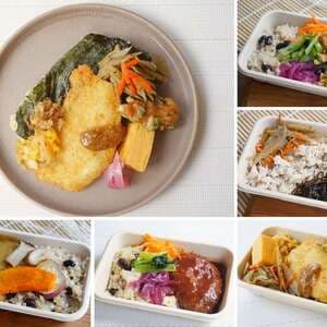 【定期便】お弁当5種《月1回or隔週お届け｜無添加、無農薬米、野菜は有機または無農薬のみ》