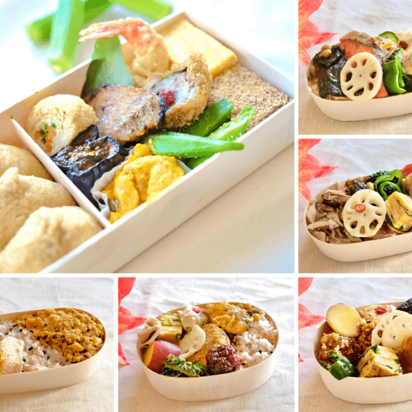 【定期便】選べる冷凍お弁当《月1回or隔週お届け｜無添加・無農薬米、有機・特別栽培野菜》