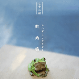 第十九候｜蛙始鳴（七十二候の季節のお手紙）
