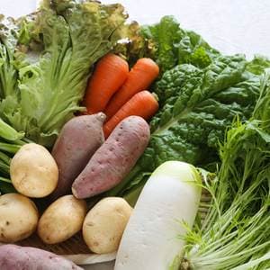 定期購入 無農薬 露地野菜セット