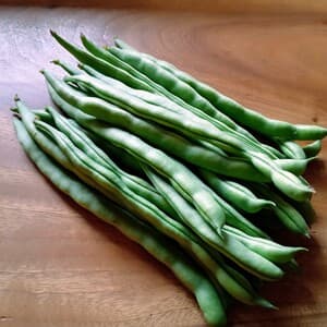 【甘みがぎゅっと】自然栽培インゲン