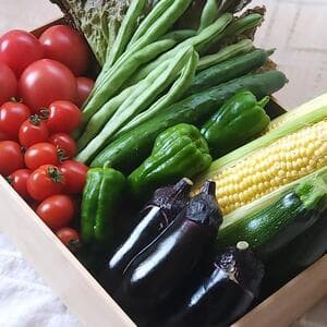 【トマトたっぷり】自然栽培の手渡したくなるお任せ野菜SETの口コミ・レビュー(とまとまとさん)