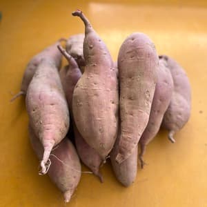 自然栽培【サイズ選べます】紅はるか 2キロの口コミ・レビュー(カボスちゃんさん)