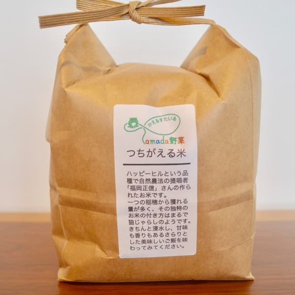 【白米】令和7年産 / ハッピーヒル  無農薬・無肥料