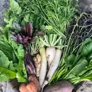 15年間不耕起・無農薬・無肥料栽培の野菜セットのレビュー