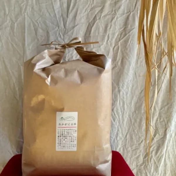 【玄米】朝日  /  令和7年産 （無農薬・無肥料）