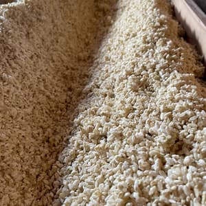 米麹 (無農薬 無肥料) 生麹