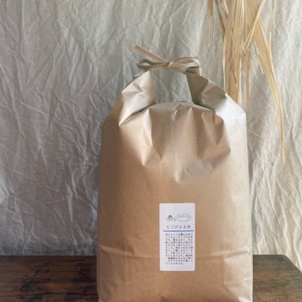 【白米】令和7年産/ 神力  無農薬・無肥料