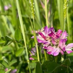 お米の在庫につきまして