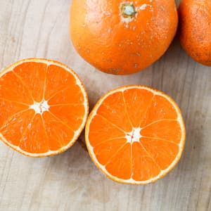 【残り2箱のみ箱追加追加追加販売】農薬不使用八女茶で育てた濃厚なやまんたみかん5kg