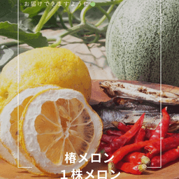 椿メロンのはじまり