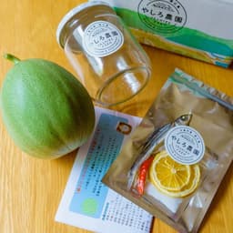 今年も一株メロンがスタートします