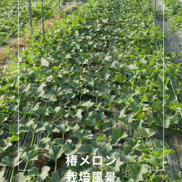 ご好評につき、在庫再入荷！！