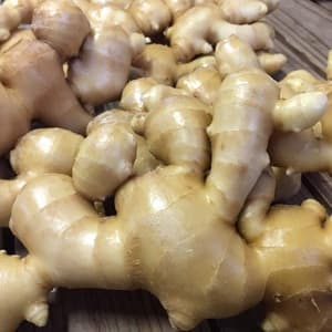 農薬不使用 生姜　レシピ付き「生姜シゴトはじめませんか」のレビュー