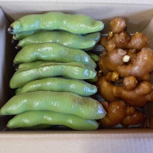 ★４月下旬～発送★　生姜・そら豆セット【農薬不使用】