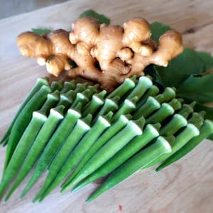 丸オクラと生姜セット【農薬・化学肥料 不使用】