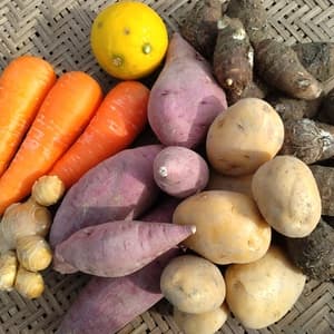 冬のよりこんぼセット【農薬・化学肥料 不使用】