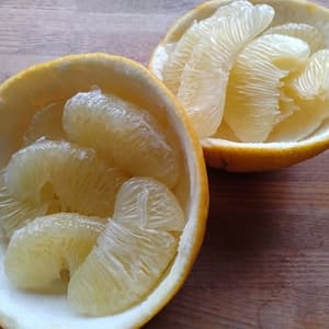 高知特産　土佐文旦【農薬・化学肥料 不使用】