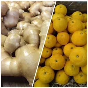 生姜と土佐文旦セット【農薬・化学肥料 不使用】