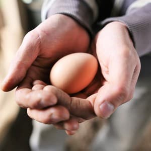 こだわりの平飼い卵