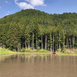 ■　田んぼの準備