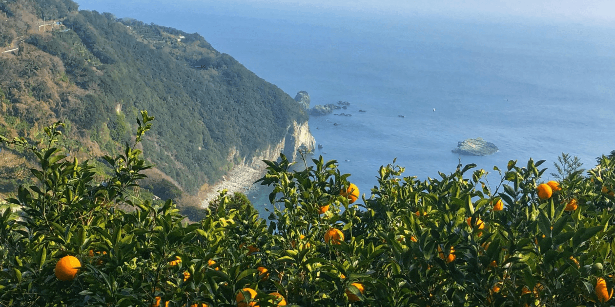 ユウギボウシ愛媛ロゴ