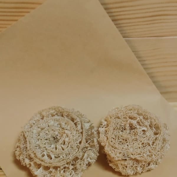 へちまコロコロたわし２個