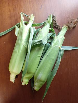 夏のお楽しみの画像 2
