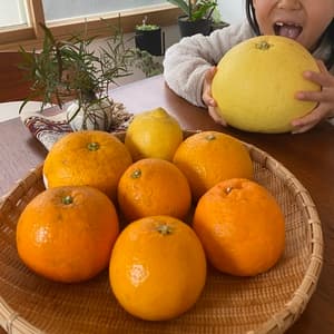 色々楽しめておすすめの画像 1