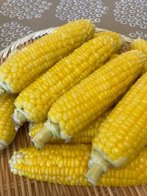 おいしさに感激!の画像 1