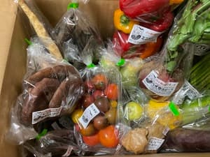沢山のカラフルなお野菜にびっくり の画像 1