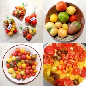 とてもおいしく楽しかった!!🍅✨の画像 1