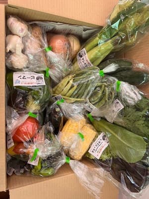 幸せの無農薬野菜セットの画像 1