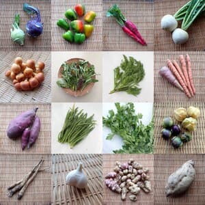 おいしい楽しい野菜をありがとうございました!!の画像 1