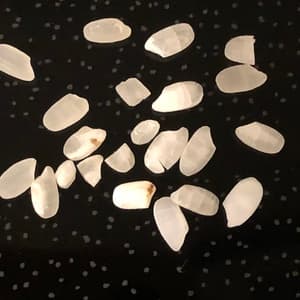 割れ米、欠け米、虫の画像 1