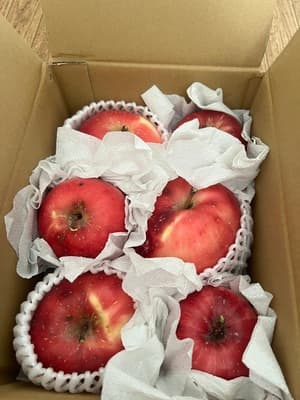 とっても美味しいりんごでした!の画像 1